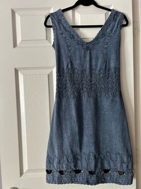 Embroidered Sleeveless Denim Mini Dress in Blue